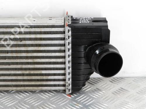 Intercooler RENAULT MASTER III Van (FV) 2.3 dCi 135 FWD (FV0N, FV08, FV06, FV00, FV1S) | BP32167680M30