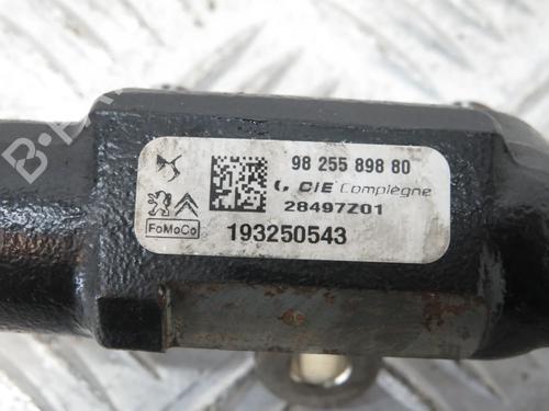 Injection rail FORD FOCUS IV Turnier (HP) 1.5 EcoBlue | BP32233113M98