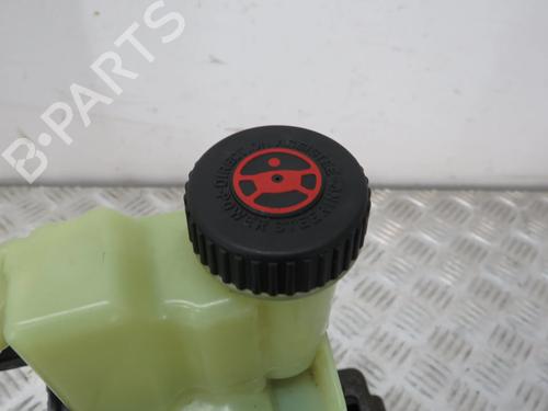 Steering pump RENAULT MASTER III Van (FV) 2.3 dCi 135 FWD (FV0N, FV08, FV06, FV00, FV1S) | BP32265115M99 