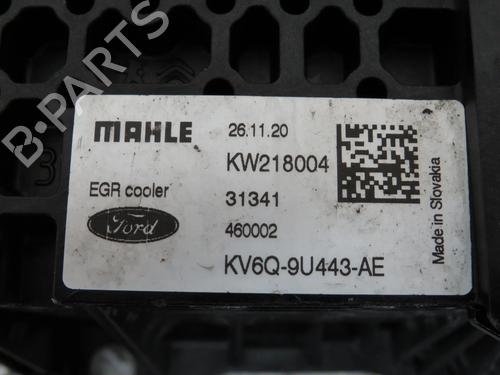 EGR-Ventil FORD FOCUS IV Turnier (HP) 1.5 EcoBlue | BP32360068M69 