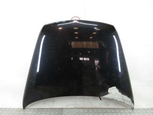 Cofano anteriore VW TOUAREG (7LA, 7L6, 7L7) 5.0 V10 TDI (313 hp) 33054530