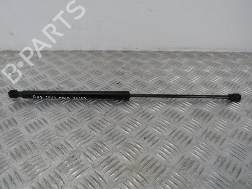 tailgate-lift-support-ds-ds-3-ds-3-crossback-ur_-uc_-uj_-2018-33293184 main image