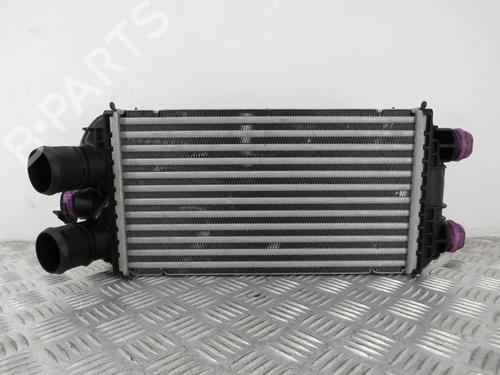 Used Intercooler Intercooler DS DS 3 / DS 3 CROSSBACK (UR_, UC_, UJ_) 1.2 PureTech 100 (URHNKK, URHNEK) (101 hp) 33293190 33293190