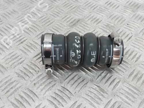 Used Pipe Pipe DS DS 3 / DS 3 CROSSBACK (UR_, UC_, UJ_) 1.2 PureTech 100 (URHNKK, URHNEK) (101 hp) 35981716 35981716