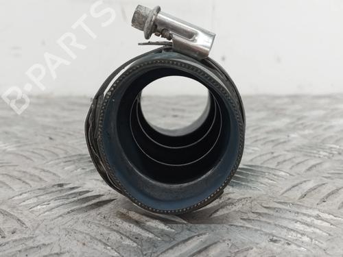Pipe DS DS 3 / DS 3 CROSSBACK (UR_, UC_, UJ_) 1.2 PureTech 100 (URHNKK, URHNEK) | BP35981716M125 - Image 2