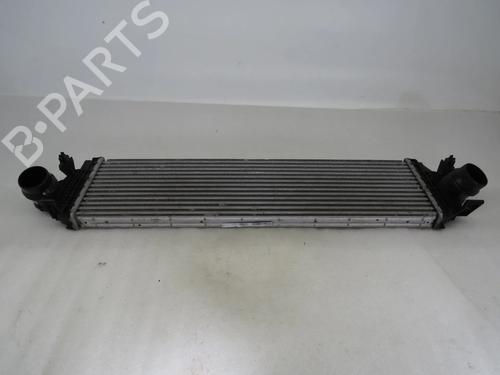 Used Intercooler Intercooler FORD FOCUS IV (HN) 1.0 EcoBoost (101 hp) 36070550 36070550