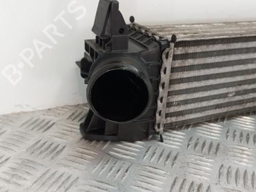 Intercooler OPEL MOVANO C Van (U9) 2.2 D | BP36092644M30 - Image 2