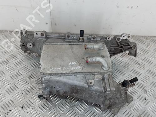 Manifold Indsugning Manifold Indsugning VW GOLF VII (5G1, BQ1, BE1, BE2) 1.6 TDI (105 hp) 36278903 36278903