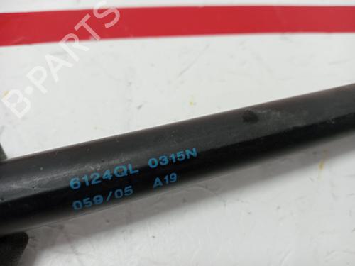 Tailgate lift support PEUGEOT 1007 (KM_) 1.6 16V | BP15931306C138 