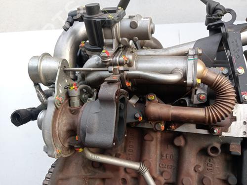 Engine RENAULT CLIO III (BR0/1, CR0/1)  | BP29565783M1 