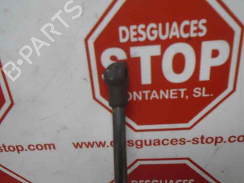 Hood lift support VW CADDY III Box Body/MPV (2KA, 2KH, 2CA, 2CH)  | BP15922023C139 