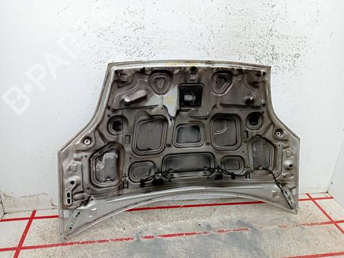 Hood FORD FIESTA V (JH_, JD_)  | BP24174821C1 