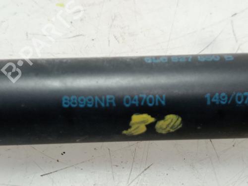Tailgate lift support SEAT IBIZA III (6L1)  | BP22192554C138 
