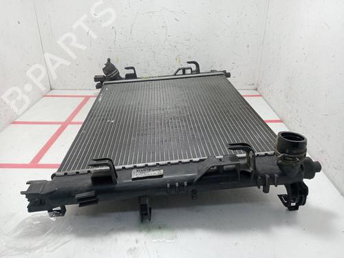 Water radiator DACIA SANDERO II | BP33983102M31 - Image 4