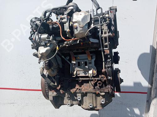 Motor Motor NISSAN QASHQAI I (J10, NJ10) 1.6 dCi All-wheel Drive (130 hp) 34164407 34164407