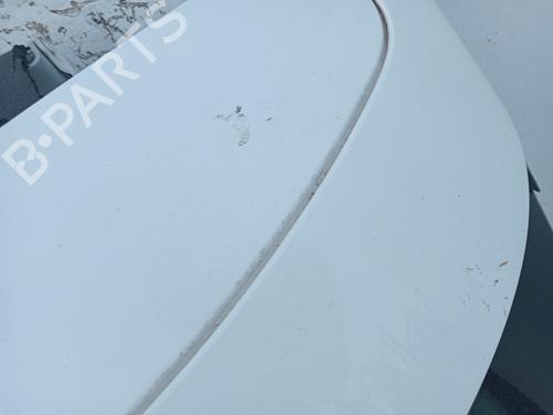 Tailgate RENAULT MEGANE III Coupe (DZ0/1_) 1.6 16V (DZ0U, DZ1B, DZ1H) | BP28124104C6 