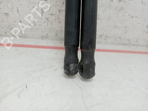 Tailgate lift support SEAT IBIZA III (6L1)  | BP29138161C138