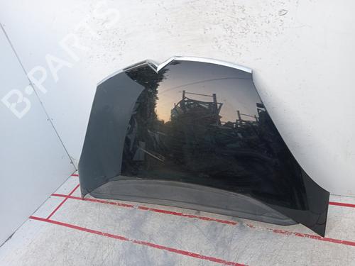 Hood CITROËN C4 Grand Picasso I (UA_) 1.6 HDi | BP19514681C1 