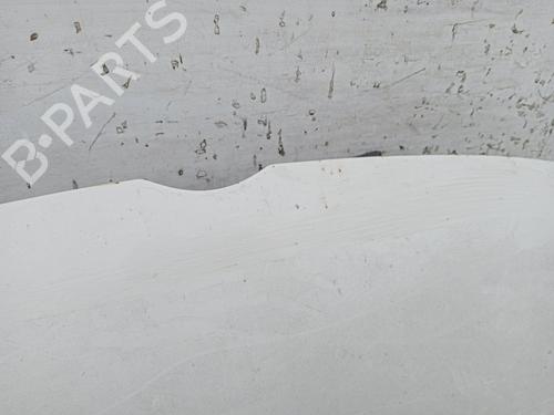 Hood VW GOLF V (1K1) | BP29584827C1