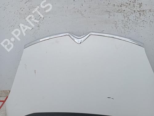 Hood CITROËN C4 Picasso I MPV (UD_) 1.6 HDi 110 | BP21763052C1 