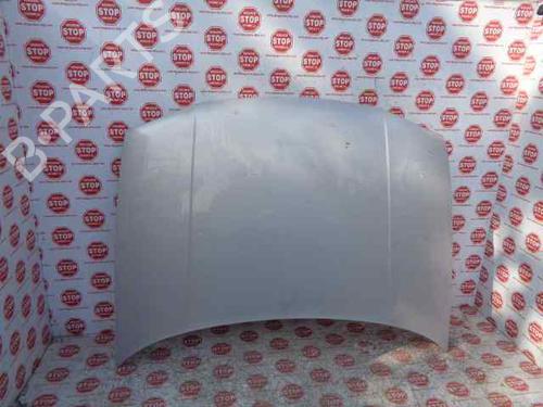 Used Hood VW GOLF IV (1J1) 1.9 TDI (110 hp) 7623217
