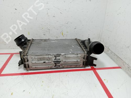 Intercooler NISSAN QASHQAI II (J11, J11_)  | BP24404644M30 
