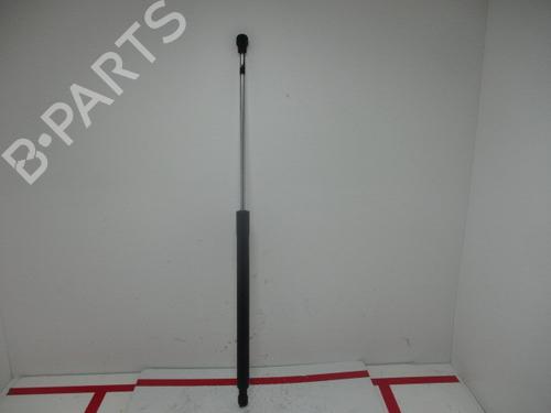 Used Hood lift support DACIA SANDERO [2008-2025]  15929172