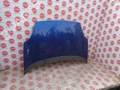 Used Hood FIAT GRANDE PUNTO (199_) 1.3 D Multijet (75 hp) 7624517