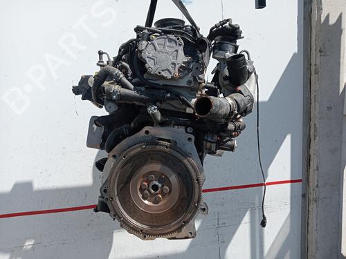 Engine SEAT TOLEDO IV (KG3) 1.6 TDI | BP36864496M1  - Image 9