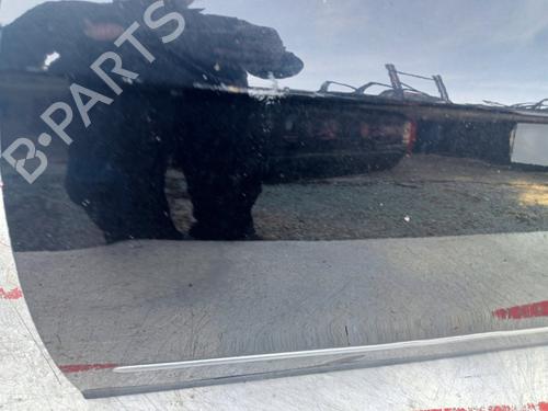 Left front door VW PASSAT B6 (3C2)  | BP29063644C2 