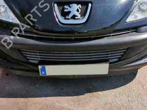 PEUGEOT 206+ (2L_, 2M_) 1.1 (60 hp) 864377