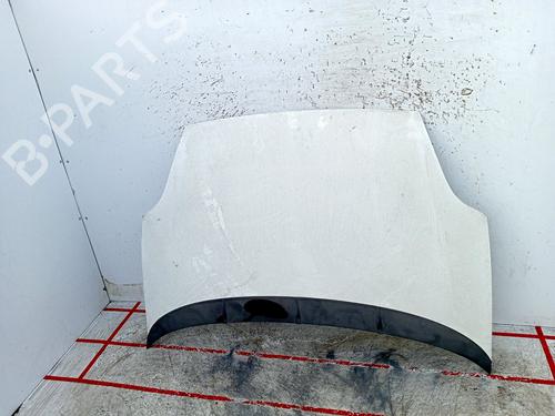 Used Hood FIAT GRANDE PUNTO (199_) 1.3 D Multijet (75 hp) 22615384