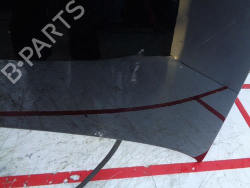Hood VOLVO V50 (545) D3 | BP17667451C1 