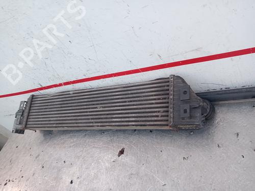 Intercooler OPEL MOVANO B Van (X62)  | BP18853714M30 