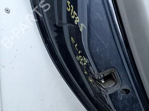 Left rear door RENAULT CLIO III (BR0/1, CR0/1) 1.6 16V (BR05, BR0B, BR0Y, BR15, BR1J, BR1M, BR1Y, CR0B,... | BP21046285C4 