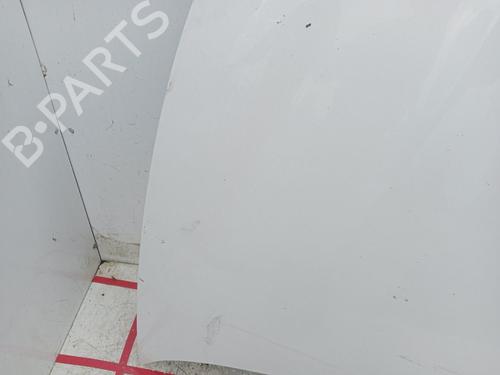 Hood SEAT IBIZA III (6L1)  | BP29117519C1 