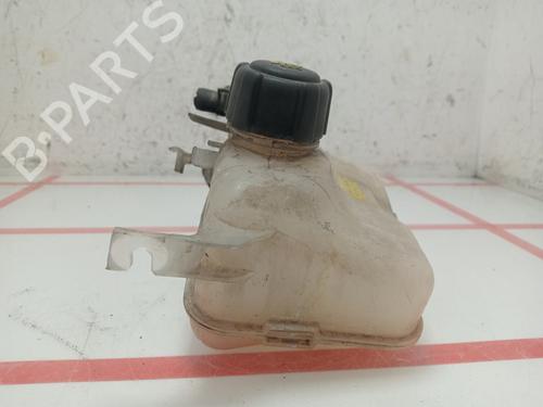 Expansion tank RENAULT MEGANE III Hatchback (BZ0/1_, B3_) 1.5 dCi | BP28078855C120 