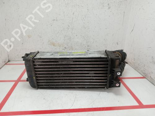 Intercooler CITROËN C4 II (NC_)  | BP29586029M30 