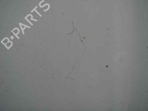 Hood MERCEDES-BENZ S-CLASS (W220, V220)  | BP7621763C1 