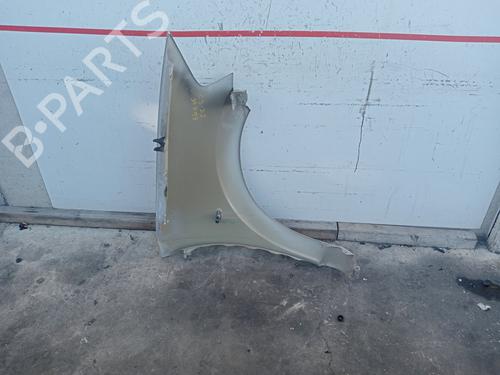 Left front fenders CITROËN C3 I (FC_, FN_) 1.4 i Bivalent | BP22217079C41 