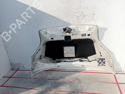 Hood CITROËN NEMO Box Body/MPV (AA_) 1.4 HDi | BP28132622C1 