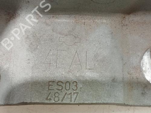 Hinge/Door check strap NISSAN QASHQAI II (J11, J11_)  | BP21517070C146 