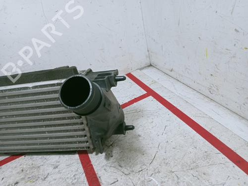 Ladeluftkühler FORD FIESTA VI (CB1, CCN)  | BP21269521M30 