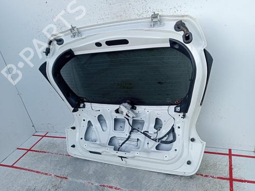 Tailgate NISSAN JUKE (F15)  | BP29043033C6 