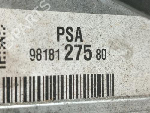 Steering pump PEUGEOT EXPERT Van (V_)  | BP28030538M99