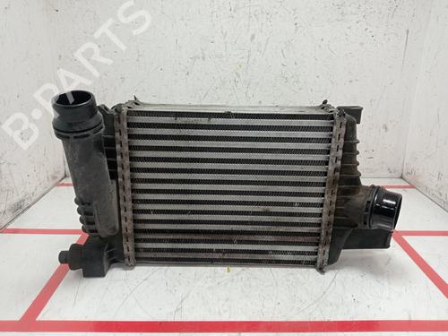 Used Intercooler DACIA DUSTER (HS_) [2010-2018]  29828166