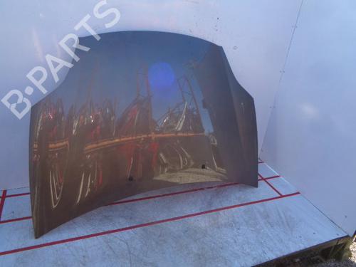Used Hood FIAT BRAVO II (198_) 1.9 D Multijet (198AXB1A) (120 hp) 15930812