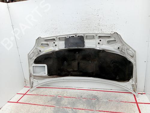 Hood MERCEDES-BENZ SPRINTER 3-t Platform/Chassis (B906) 218 CDI (906.111, 906.113, 906.211, 906.213) | BP29722038C1 