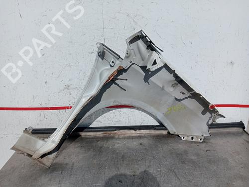 Left front fenders FIAT GRANDE PUNTO (199_) 1.2 | BP29211784C41 