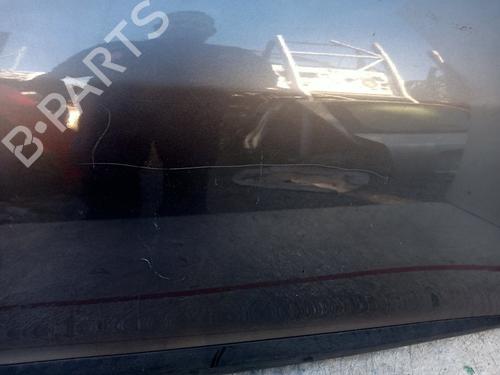 Right front door RENAULT MEGANE III Coupe (DZ0/1_) 1.9 dCi (DZ0N, DZ0J, DZ1J, DZ1K) | BP19545734C3 